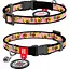 nashyinyk-dlia-kotiv-neilonovyi-waudog-nylon-z-qr-pasportom-avokado-na-rozhevomu-xs-sh-10-mm-d-20-30-sm