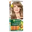 farba-dlia-volossia-garnier-color-naturals-vidtinok-71-vilkha-110-ml-c4431126