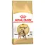sukhyi-korm-dlia-kotiv-benhalskoi-porody-royal-canin-bengal-adult-z-ptytseiu-2-kh-4370020