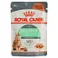 konservovanyi-korm-dlia-kotiv-iz-chutlyvym-travlenniam-royal-canin-digest-sensitive-85-h-4076001