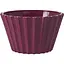 myska-dlia-snekiv-max-plast-circular-flora-bowl-200-ml