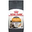 sukhyi-korm-dlia-kishok-z-problemnoiu-sherstiu-royal-canin-hairskin-care-z-kurkoiu-04-kh-2526004