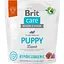 sukhyi-korm-dlia-tsutseniat-brit-care-dog-hypoallergenic-puppy-hipoalerhennyi-z-yahniam-1-kh