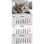 kalendar-nastinnyi-kvartalnyi-2026-r-3-pr-cats-1