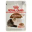 volohyi-korm-z-miasom-dlia-kotiv-royal-canin-ageing12-85-h-4082001