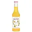 syrop-monin-marakuiia-250-ml-3052910013752