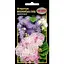 nasinnia-nk-elit-aheratum-meksykanska-sumish-01-h-78934