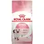 sukhyi-korm-dlia-kosheniat-royal-canin-kitten-miaso-ptytsi-ta-rys-04-kh