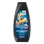 shampun-dlia-cholovikiv-schauma-men-proty-lupy-z-ekstraktom-imbyru-dlia-volossia-z-nadmirnoiu-lupoiu-400-ml