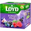 chai-fruktovyi-loyd-forest-fruits-lisovi-yahody-v-piramidkakh-40-h