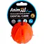 ihrashka-dlia-sobak-animall-fun-agrizzzly-miach-vkusniashka-pomarancheva-5-sm