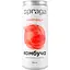 napii-kombucha-spraga-hreipfrut-330-ml-zh-b